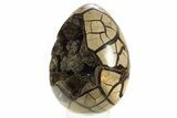 Septarian Dragon Egg Geode - Black Crystals #323469-1